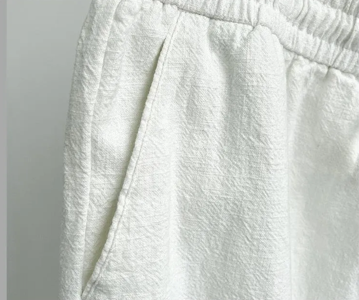 Canali Linen Pants