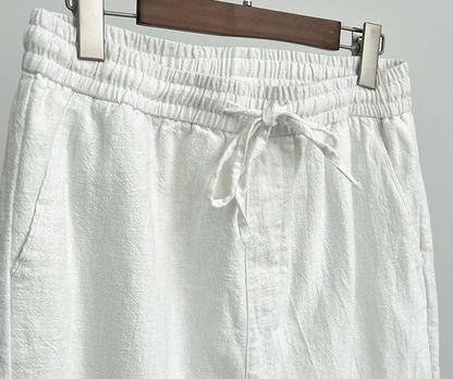 Canali Linen Pants
