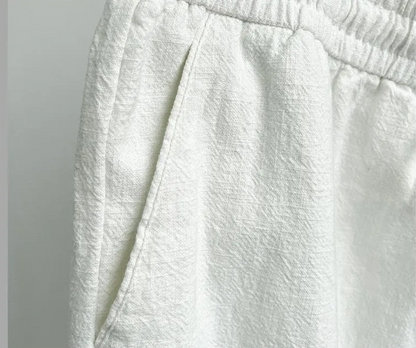 Canali Linen Pants
